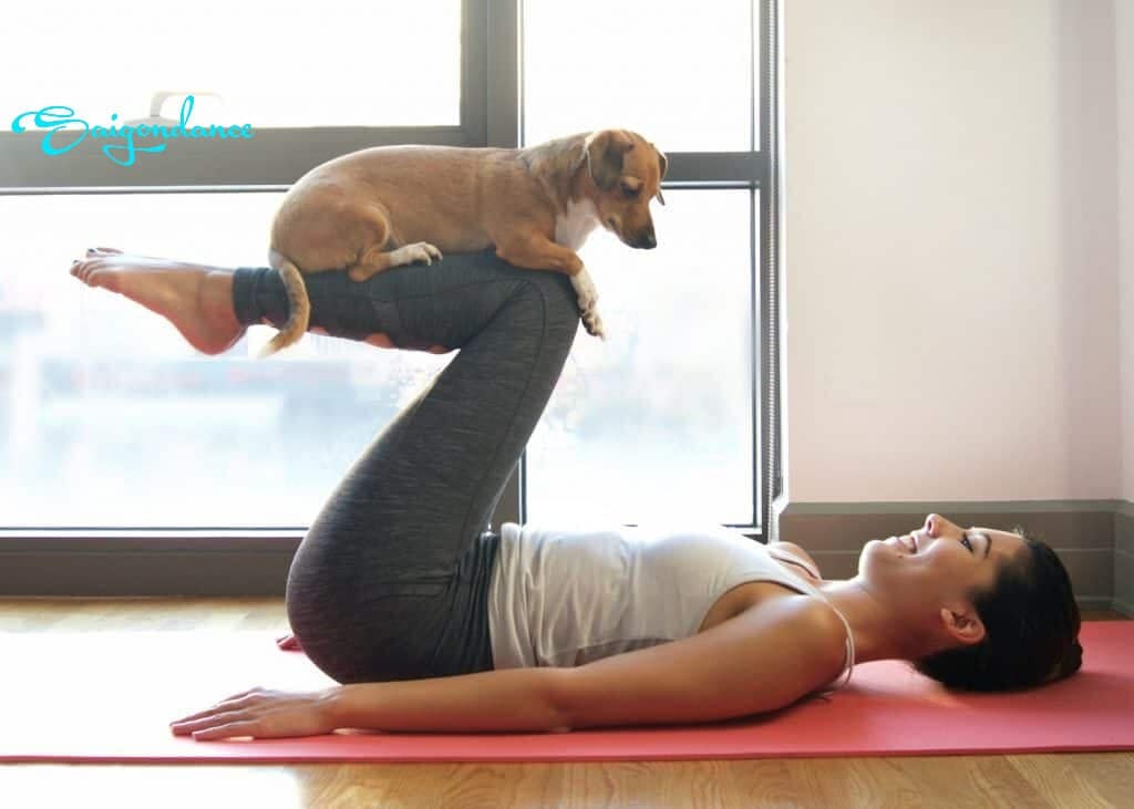 Dog yoga: tập Yoga với thú cưng của mình.