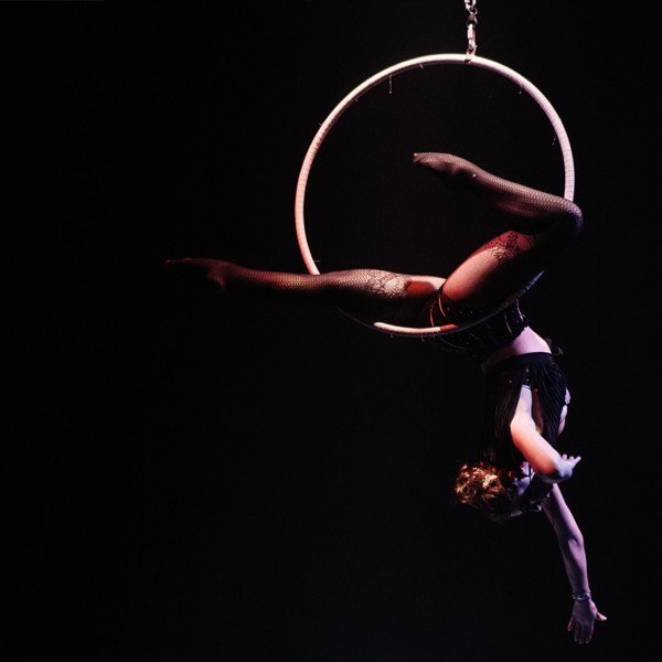 Aerial Hoop 3