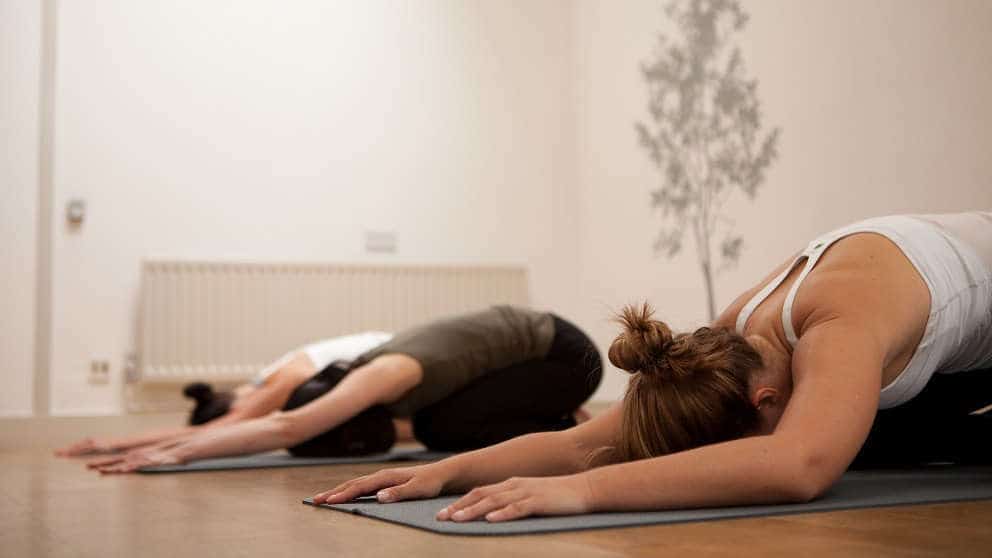 Tìm Hiểu Về Các Trường Phái Tập Yoga Phổ Biến Trên Thế Giới 12