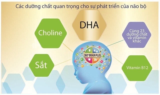 Các dưỡng chất thiết yếu cho sự phát triển não bộ